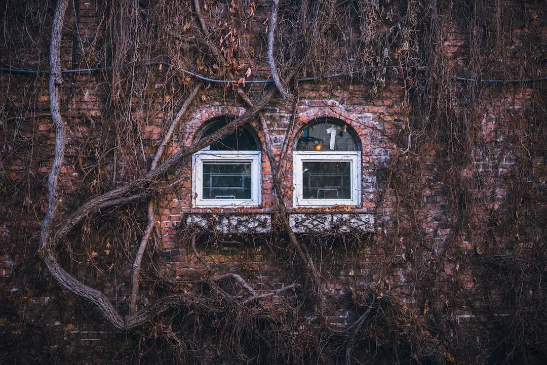 Vad vet vi om Windows 10 vs 11? illustration